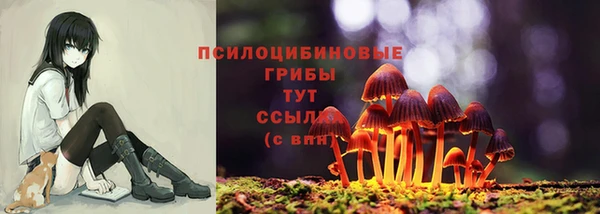 крисы Новозыбков
