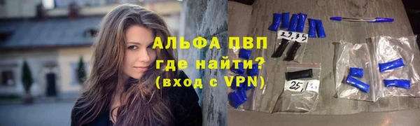 твердый Новокубанск