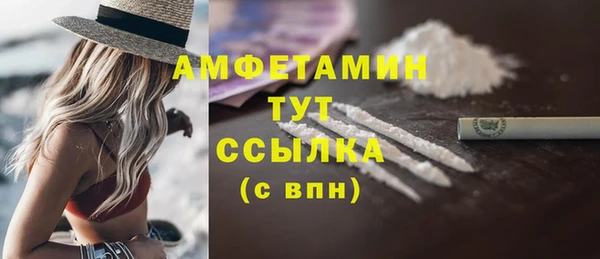 крисы Новозыбков
