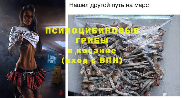 твердый Новокубанск