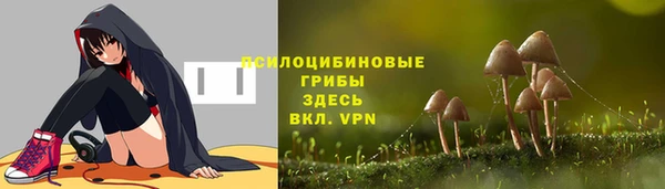 твердый Новокубанск