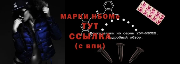 крисы Новозыбков