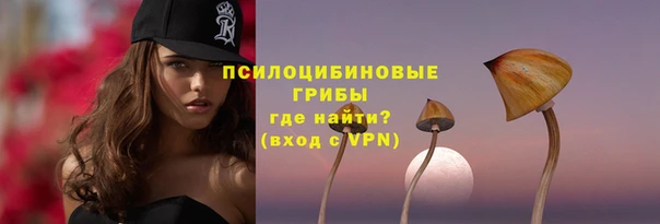 крисы Новозыбков