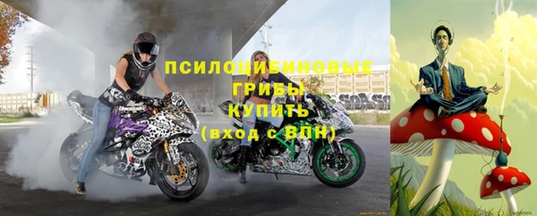 твердый Новокубанск