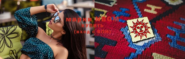 крисы Новозыбков