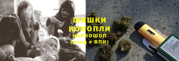 крисы Новозыбков