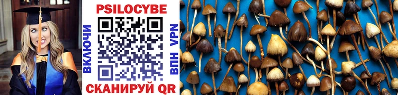 купить наркоту  Нальчик  даркнет Telegram  Псилоцибиновые грибы Psilocybine cubensis 