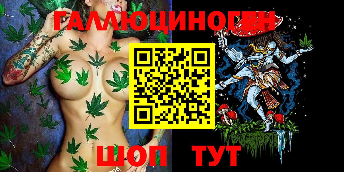 Галлюциногенные грибы GOLDEN TEACHER  Галлюциногенные грибы Psilocybe  Нальчик  Вход с VPN 