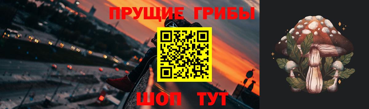 Галлюциногенные грибы Psilocybine cubensis Нальчик